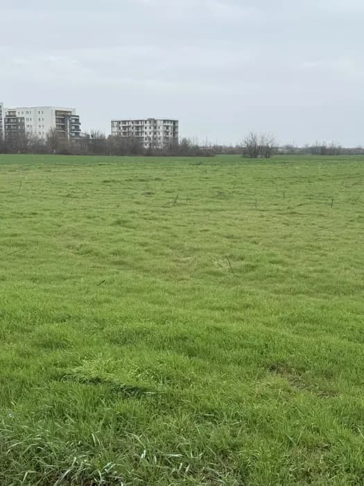 Imagine 1/6: Schimb teren 3000 mp Ploiesti cu autoturism. | Preț: 40.000 EUR | Locație: Ploiești, Prahova Schimb teren 3000 mp Ploiesti cu autoturism. - Ploiești, Prahova - 40.000 EUR - imagine 1 din 6 - anunț second hand