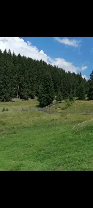 Imagine 1/8: VAND /SCHIMB cu AUTO teren 3,6 ha la munte BUCOVINA parcelabil | Preț: 2,7 EUR | Locație: Parau Negrel, Suceava VAND /SCHIMB cu AUTO teren 3,6 ha la munte BUCOVINA parcelabil - Parau Negrel, Suceava - 2,7 EUR - imagine 1 din 8 - anunț second hand